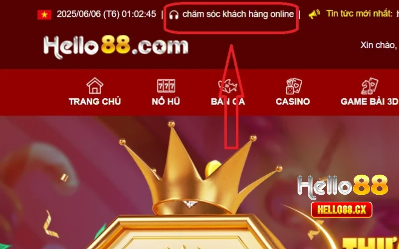 Lý do cần liên hệ Hello88