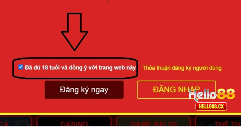 Tuân thủ độ tuổi đăng ký Hello88 theo đúng yêu cầu